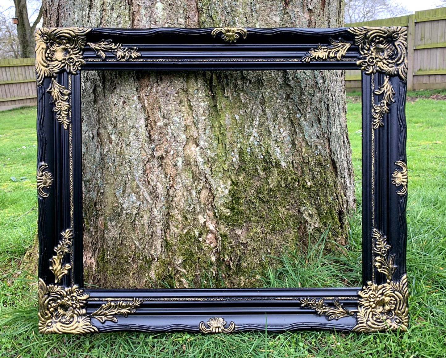 Black & Gold Antique Frame